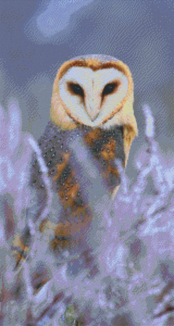 Barn Owl Twenty-Four [24] Baseplate PixelHobby Mini-mosaic Art Kit image 0
